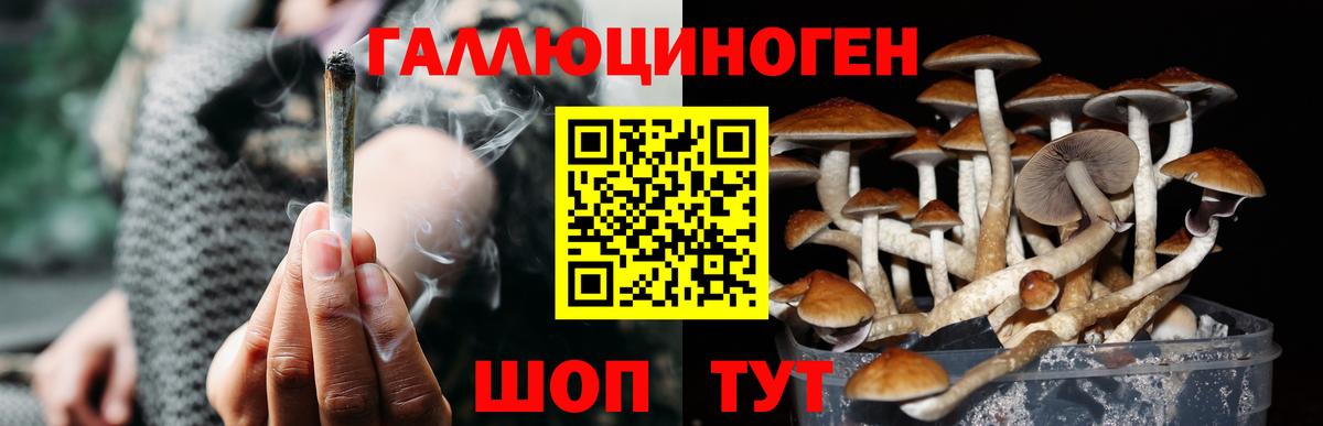 Гашиш Чапаевск